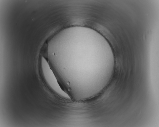 X0000088690578200706282004