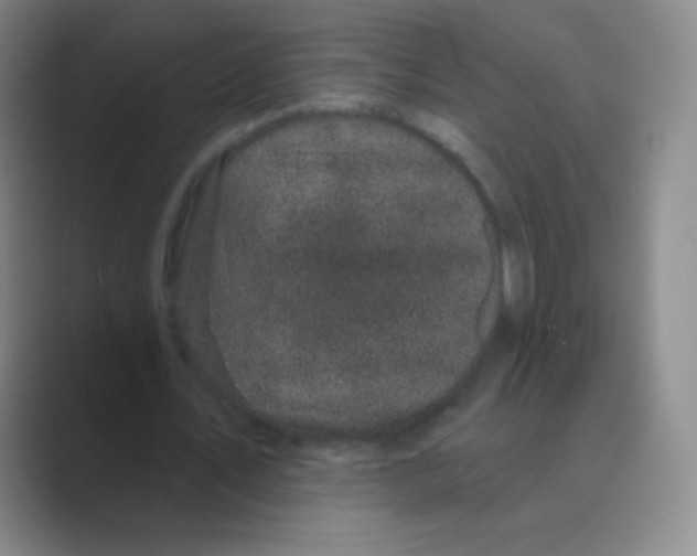 X0000088690579200706282004