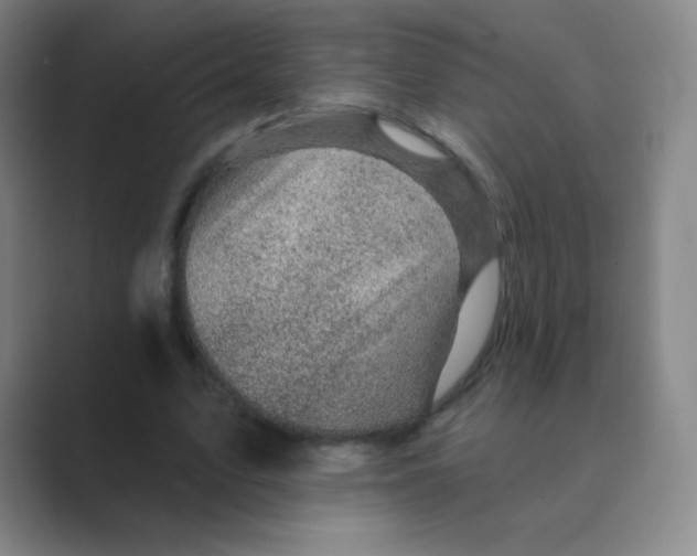 X0000088690583200706282004