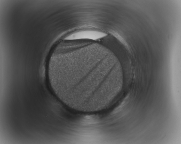 X0000088690584200706282004