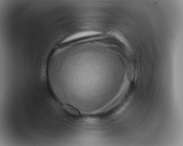 X0000088690585200706282004
