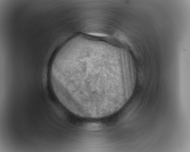 X0000088690586200706282004