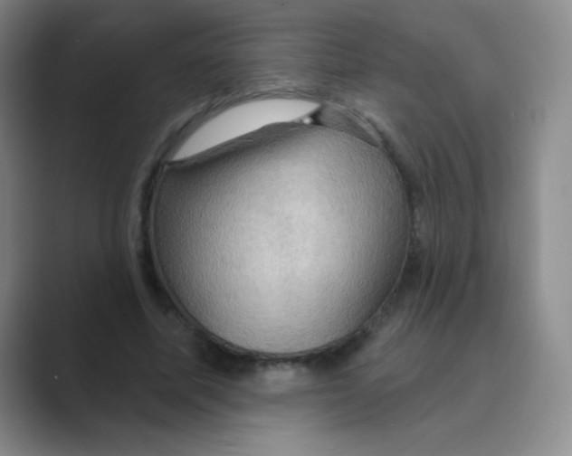 X0000088690587200706282004