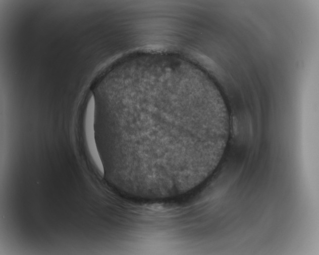 X0000088690588200706282004