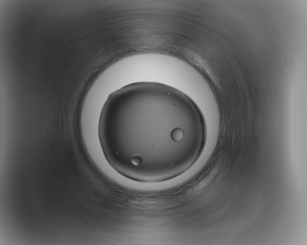 X0000088690589200706282004