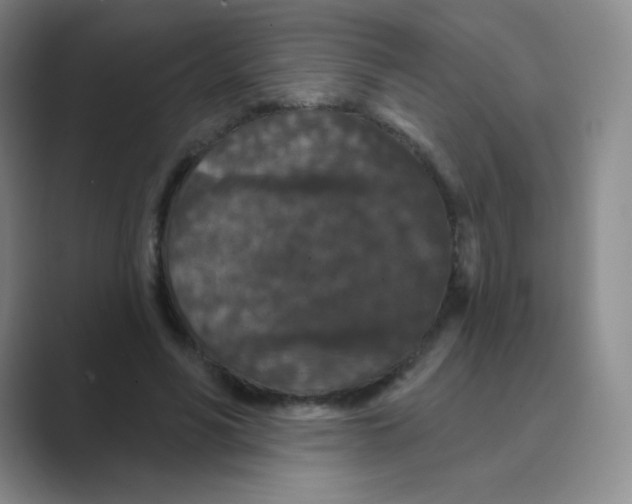 X0000088690590200706282004