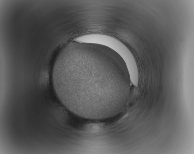 X0000088690595200706282004
