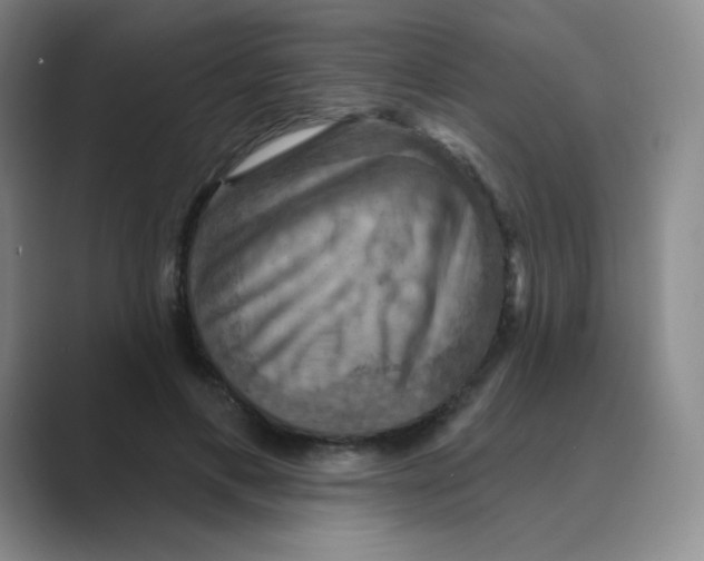 X0000088690597200706282004