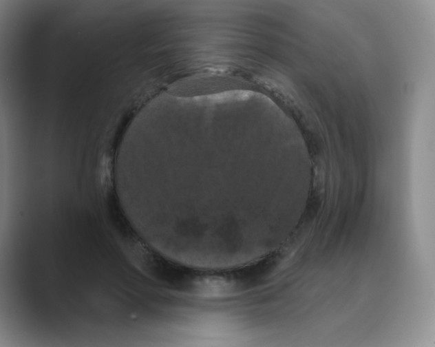 X0000088690598200706282004
