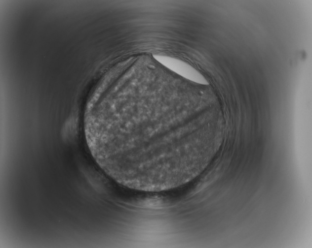 X0000088690600200706282004