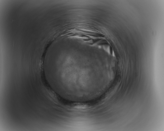 X0000088690601200706282004