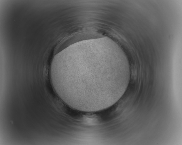 X0000088690603200706282004