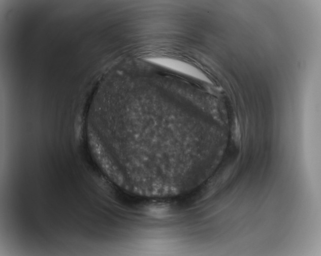 X0000088690604200706282004