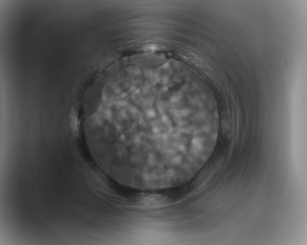 X0000088690605200706282004