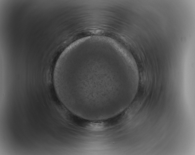 X0000088690606200706282004
