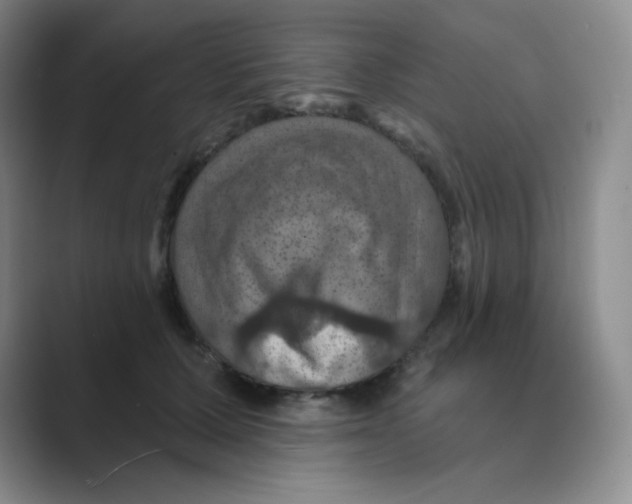 X0000088690607200706282004
