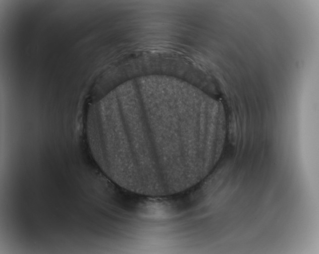 X0000088690608200706282004