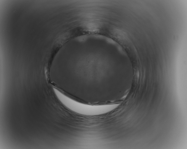 X0000088690609200706282004