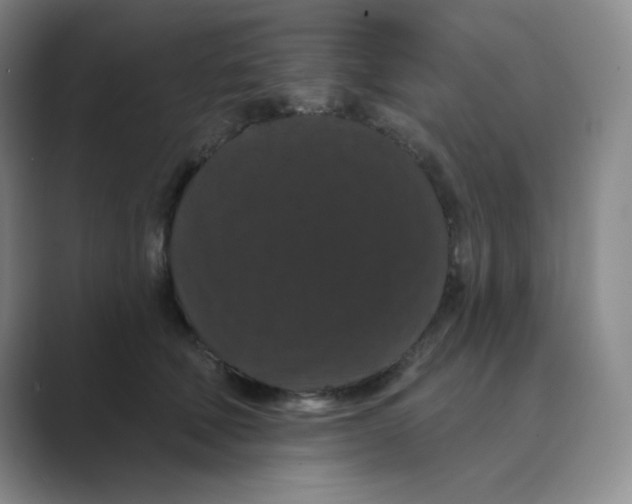 X0000088690610200706282004