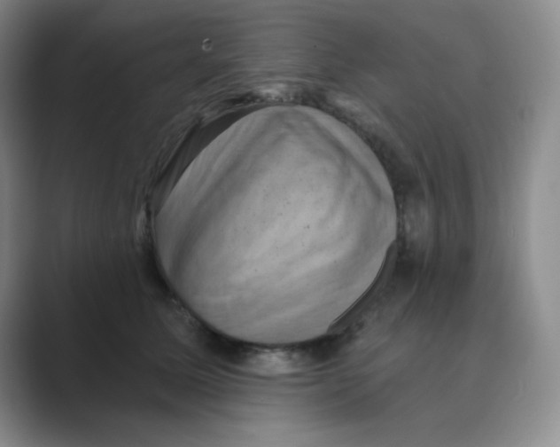 X0000088690611200706282004