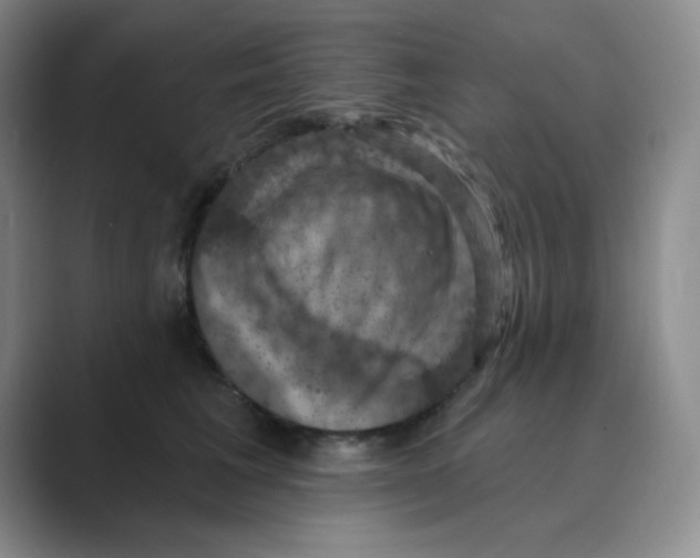 X0000088690613200706282004