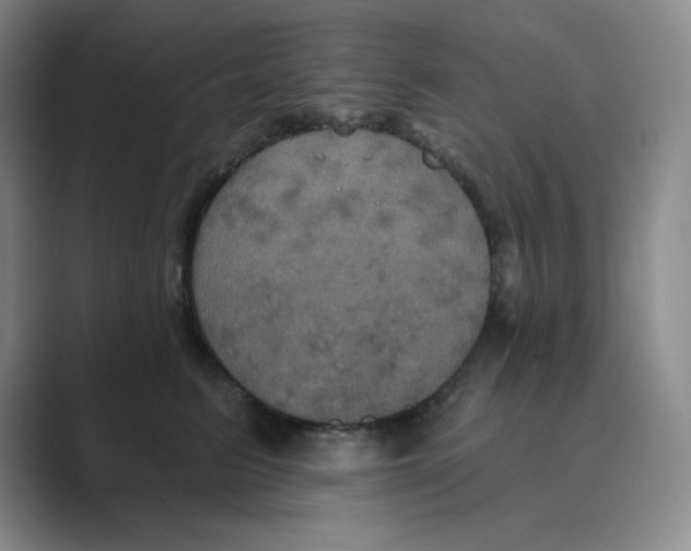 X0000088690615200706282004