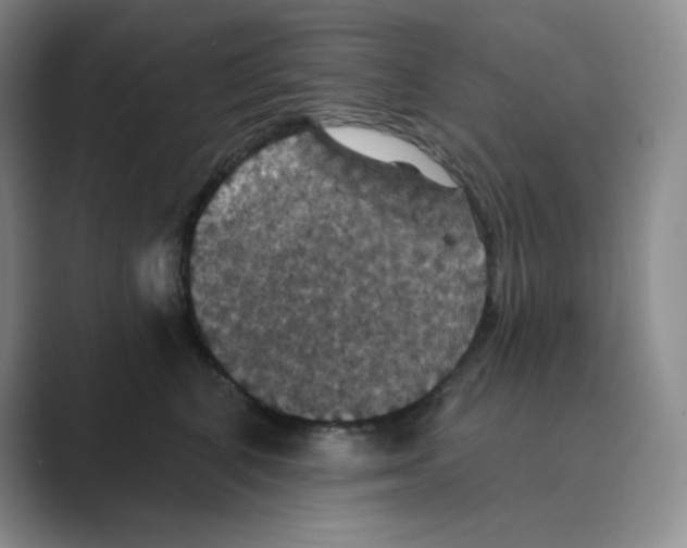 X0000088690616200706282004