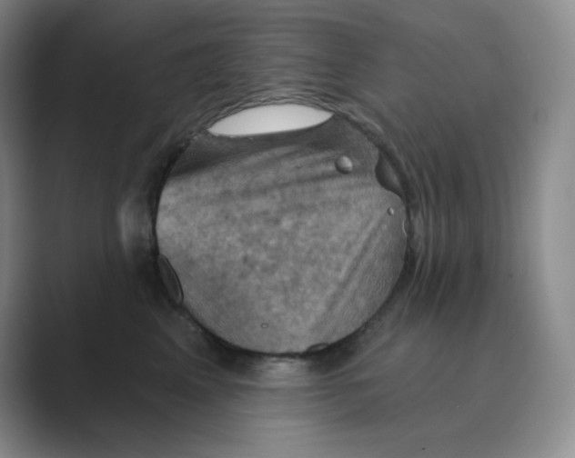 X0000088690617200706282004