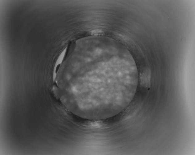 X0000088690618200706282004