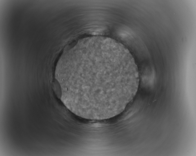 X0000088690620200706282004