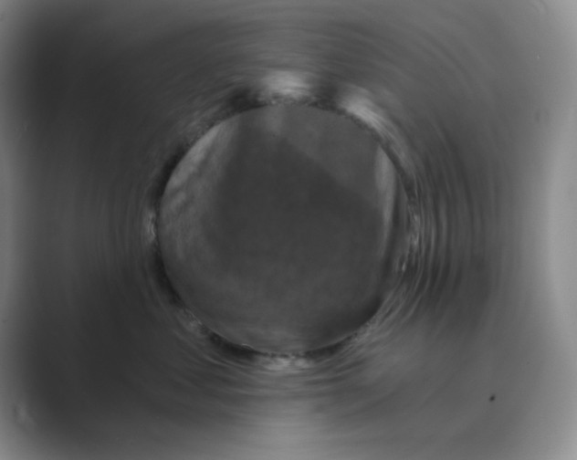 X0000088690621200706282004