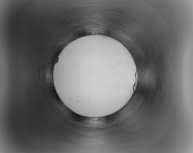 X0000088690622200706282004