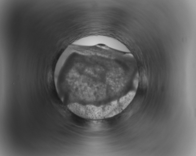 X0000088690623200706282004