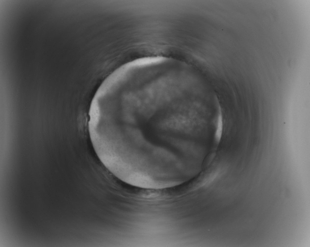 X0000088690624200706282004