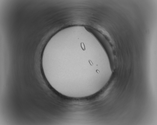 X0000088690625200706282003