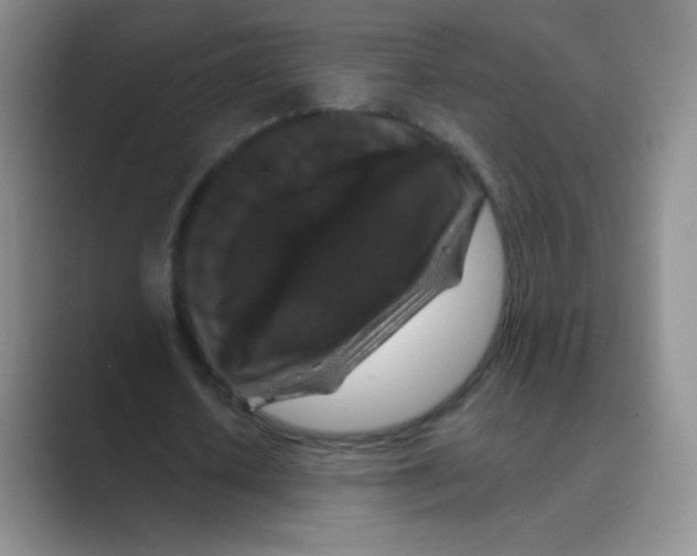 X0000088690626200706282003