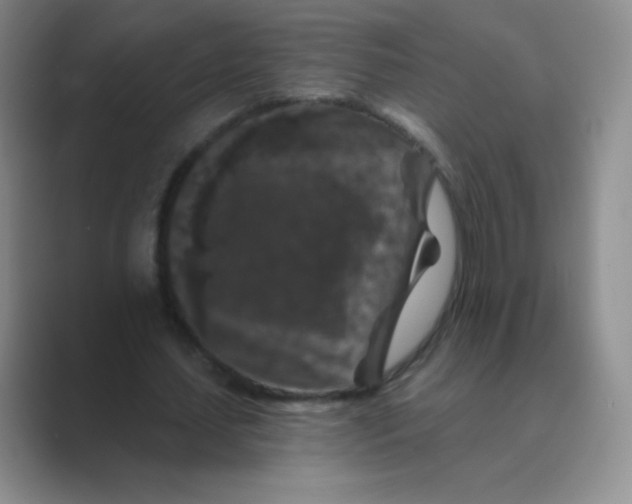 X0000088690627200706282003