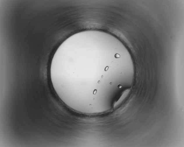 X0000088690629200706282003