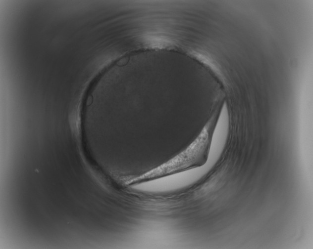 X0000088690630200706282003