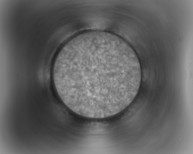 X0000088690632200706282003