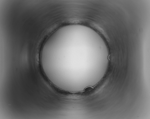 X0000088690633200706282003