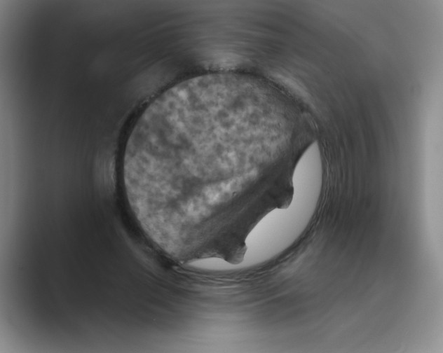 X0000088690638200706282003