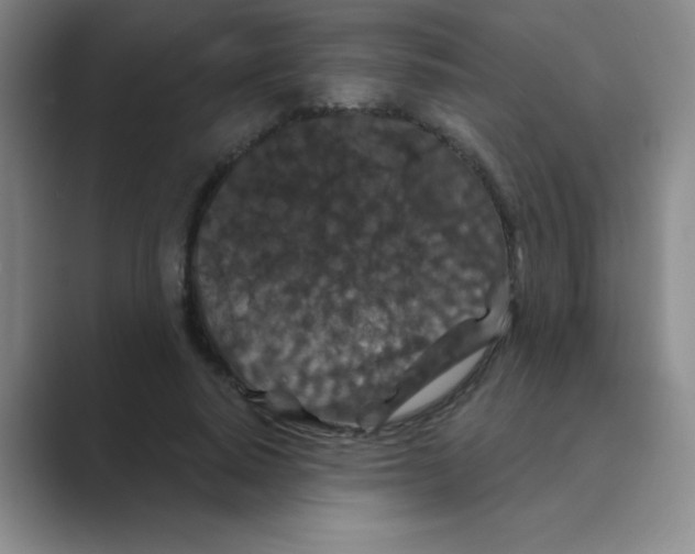 X0000088690640200706282003