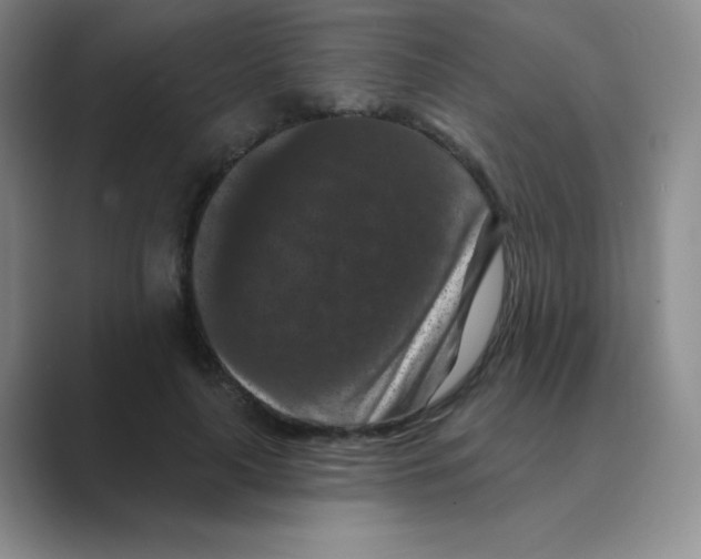 X0000088690643200706282003