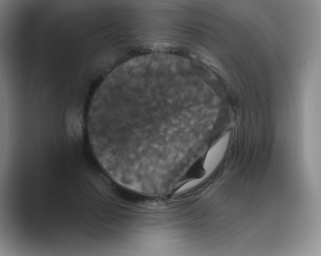X0000088690644200706282003