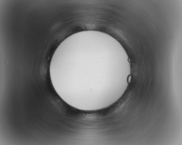 X0000088690645200706282003