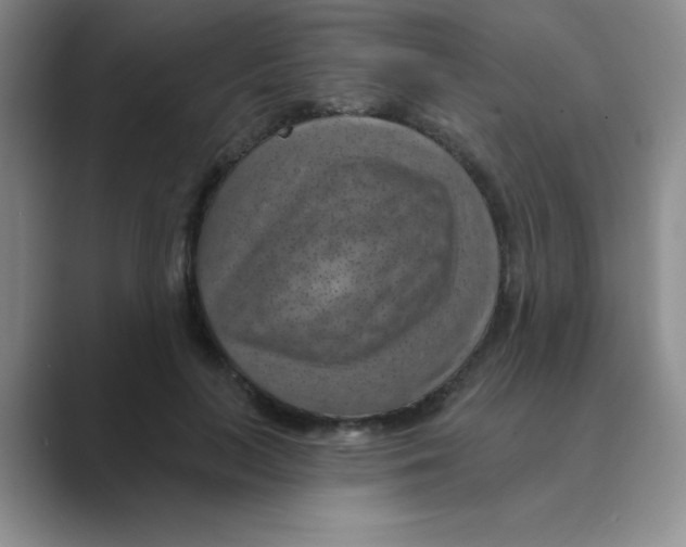 X0000088690647200706282003