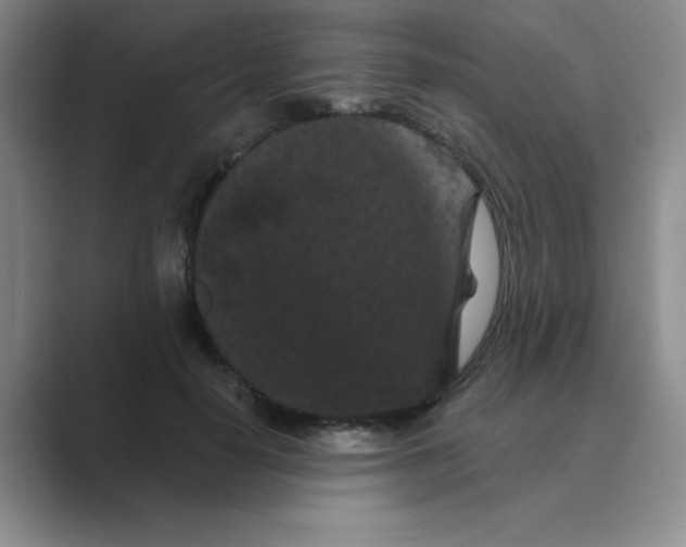 X0000088690650200706282003
