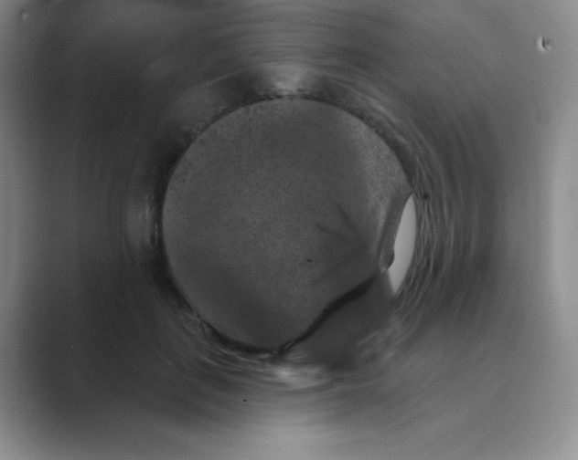 X0000088690651200706282003