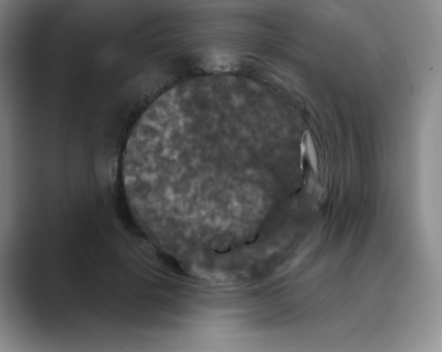 X0000088690652200706282003